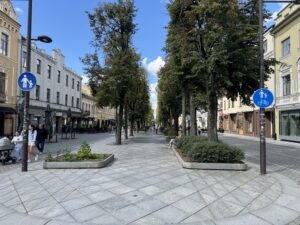 Laisvės alėja, česky Alej Svobody