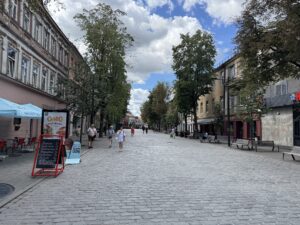 Ulice Vilniaus