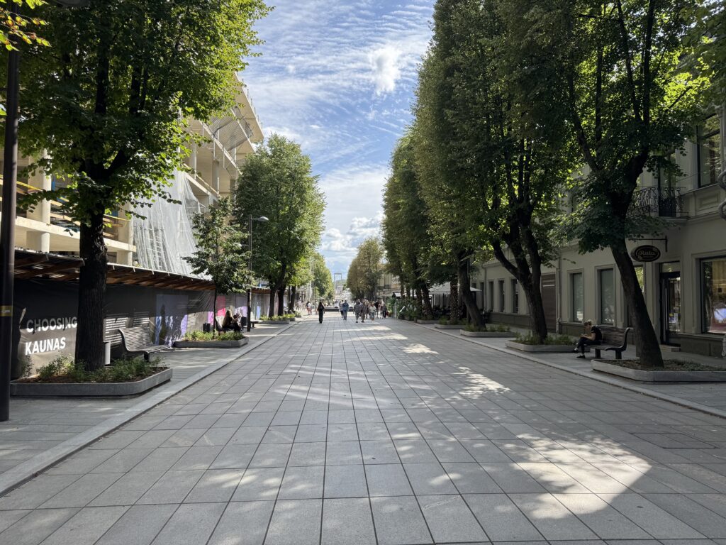 Ulice S. Daukanto